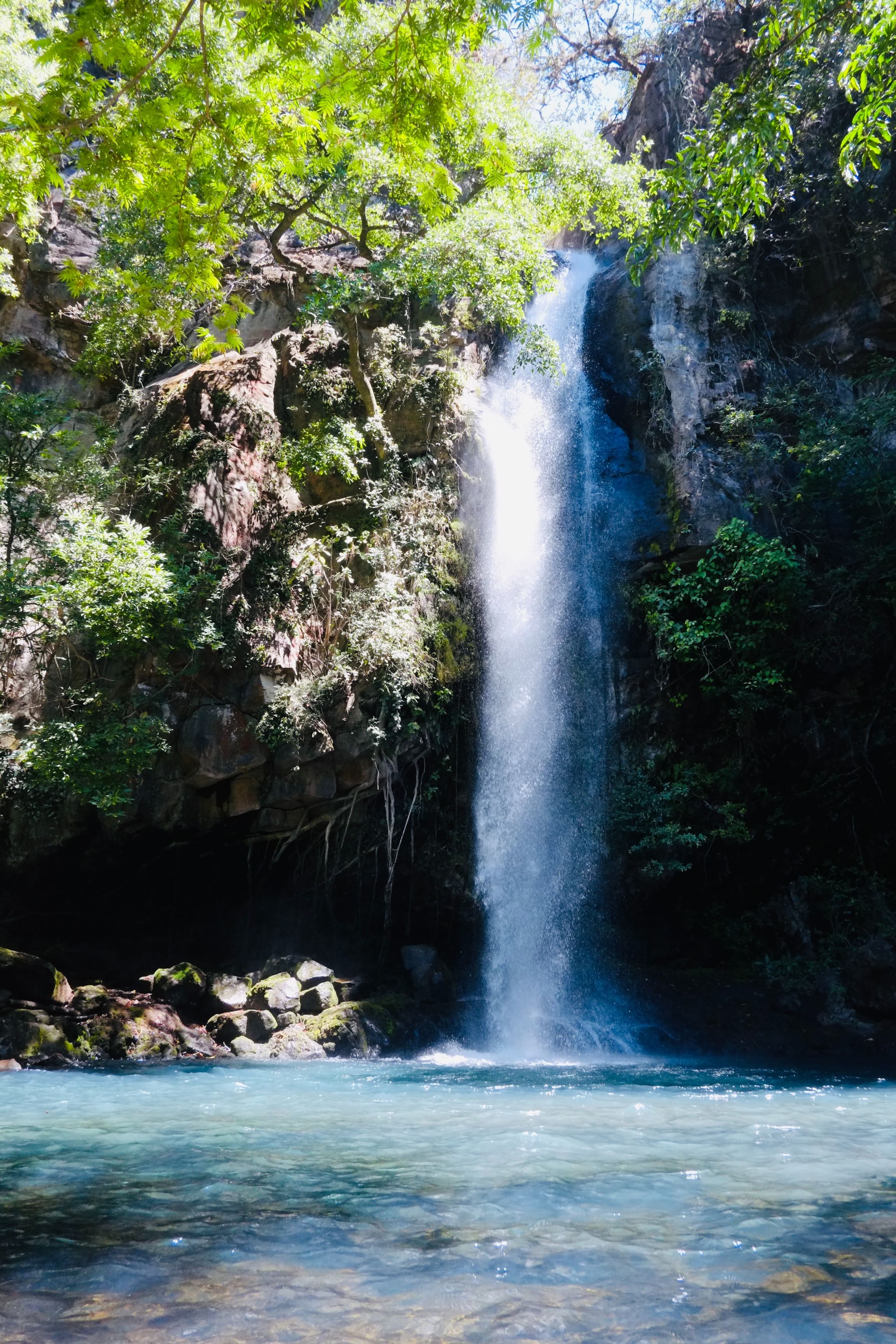 Parques nacionales de Costa Rica: El rincón de la vieja
