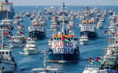 Flotilla a Gaza: Lo que no te cuentan